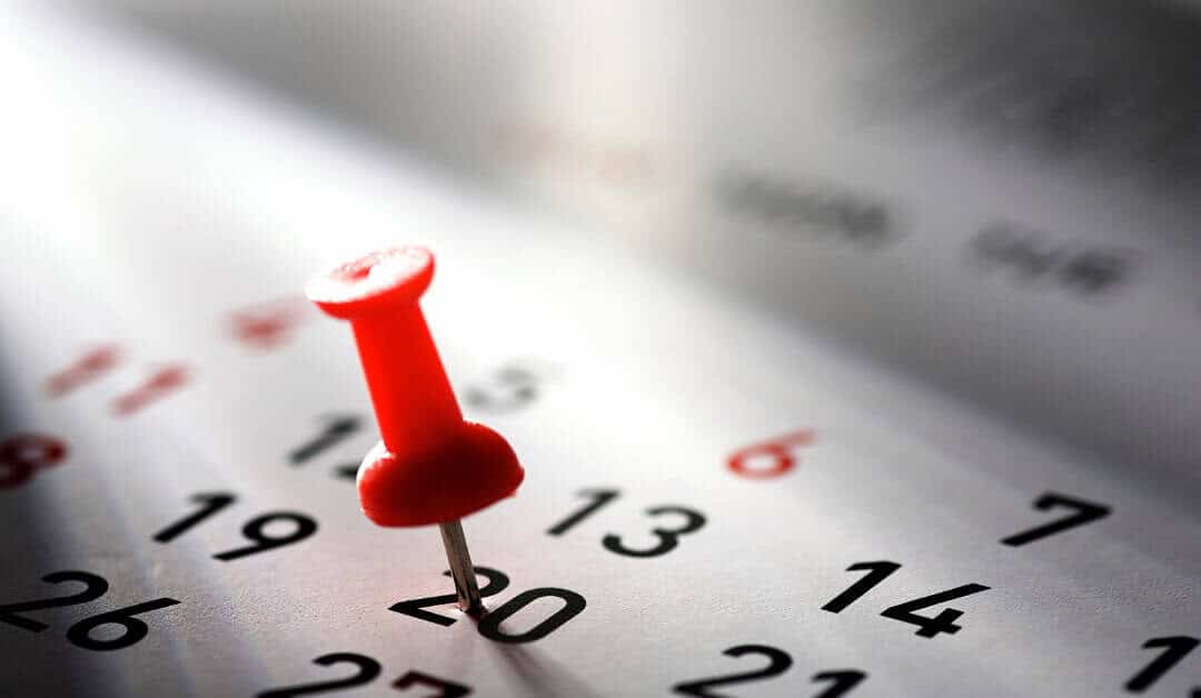 Day Rate Web Design. Build Your Website in Days, Not Months.